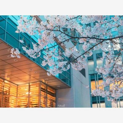 开元ky7818老版本