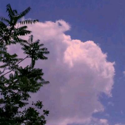 best365网页版登录